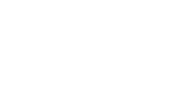 free and inclusive access: